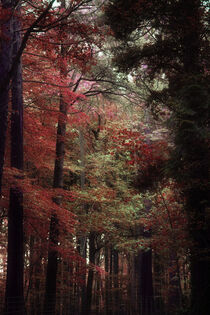 'Walking In To Autumn' von CHRISTINE LAKE