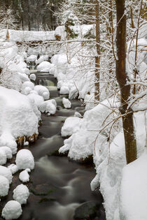 Bach im Winter by Dirk Rüter