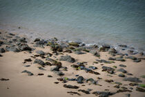 Sandstrand mit Steinen am Meer mit leichten Wellen. von Thomas Richter