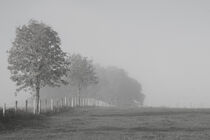 Nebel auf dem Land  by Angelika Wiedemeyer