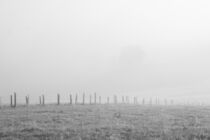 Nebel auf dem Land by Angelika Wiedemeyer