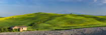 Landschaft um Pienza, Toskana by Walter G. Allgöwer