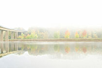 Herbst am See von Angelika Wiedemeyer