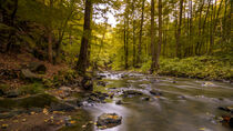 Herbstzauber in der Georgewitzer Skala/ Löbauer Wasser 4 by Holger Spieker