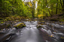 Magische Flusslandschaft in Sachsen, das Löbauer Wasser 2 by Holger Spieker