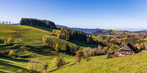 Schwarzwaldhaus bei St. Märgen im Schwarzwald by dieterich-fotografie