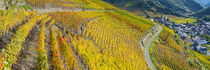 Weinberge im Herbst, Ahrtal von Walter G. Allgöwer