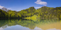 Alatsee im Allgäu von Walter G. Allgöwer