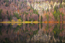 Feldsee Schwarzwald II von Patrick Lohmüller