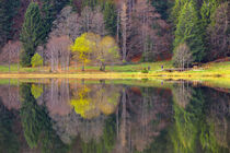 Feldsee Schwarzwald III by Patrick Lohmüller