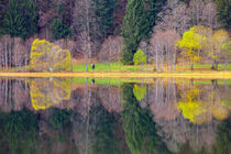 Feldsee Schwarzwald IV by Patrick Lohmüller