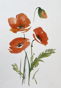 roter Mohn von Sonja Jannichsen