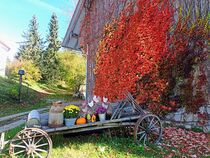 Herbststimmung von Renate Maget