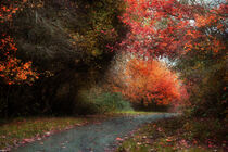 'The Last Of Autumn' von CHRISTINE LAKE