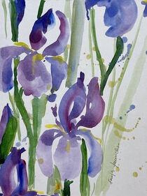 lila Iris by Sonja Jannichsen