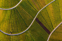 Weinberge in Stuttgart aus der Vogelperspektive by dieterich-fotografie