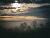 Herbst und Nebel Landschaft in Schleswig - Holstein