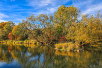 'Donau-Uferlandschaft zwischen Laiz und Inzigkofen - Naturpark Obere Donau' von Christine Horn