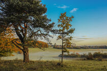 Landschaft mit letzten Nebelresten im NSG Stiegelesfelsen - Naturpark Obere Donau von Christine Horn