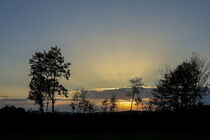 Kurz nach Sonnenaufgang im Naturschutzgebiet Stiegelesfels bei Fridingen an der Donau - Naturpark Obere Donau von Christine Horn