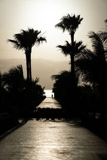 Man on palm tree alley at Boa Vista beach von raphotography88