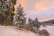 Winterlandschaft mit verschneiten Bäumen im Abendlicht bei Bergsteig - Naturpark Obere Donau von Christine Horn