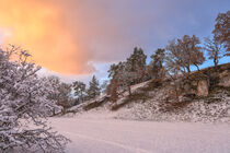 'Winterstimmung bei Bergsteig - Naturpark Obere Donau' von Christine Horn