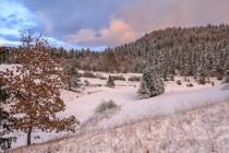 Landschaft bei Bergsteig im Winter mit Schnee im Abendlicht - Naturpark Obere Donau von Christine Horn