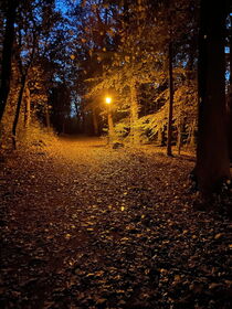 A walk in the park von bagojowitsch