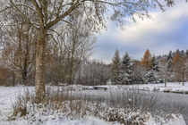 Schneelandschaft mit zugefrorenem Teich bei Eigeltingen-Homberg im Hegau - Landkreis Konstanz von Christine Horn