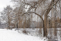 Zugefrorener Teich im Winter bei Eigeltingen-Homberg im Hegau - Landkreis Konstanz von Christine Horn