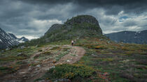 Woman hiking in mountain landscape to Knutshoe summit in Jotunheimen National Park in Norway von Bastian Linder