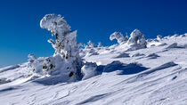 Krkonose - National Park by Tomas Gregor