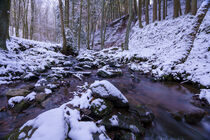 Winterlandschaft mit Gewässer/Rhön-Kaskadenschlucht von Holger Spieker