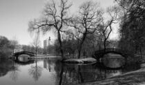 Leipzig, Johannapark, Frühling, Natur von aaristoteles