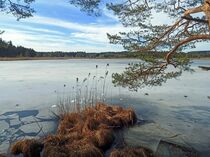 Eiszeit auf dem Elbsee von Renate Maget