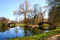 Leipzig, Johannapark, Frühling, Natur von aaristoteles