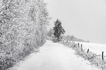 Winterzauber in der Rhön von Holger Spieker