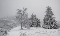 'Winterlandschaft Hochrhön' von Holger Spieker