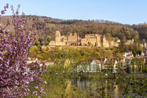 Das Heidelberger Schloss im Frühling - The castle of Heidelberg in spring by Susanne Fritzsche