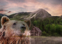Grizzly Bear and Wilderness by Erika Kaisersot