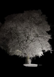 Ghost Tree von sunny69