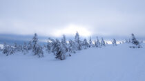Snowy country near Labska bouda