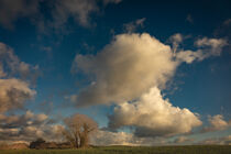 Wolken am Bodden  by jivan21