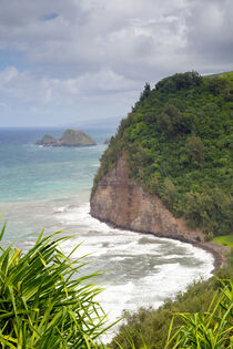 Pololu Valley, Big Island, Hawaii von Dirk Rüter