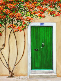 Italian door by Isabel Conradi