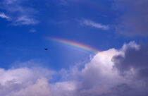 Seaplane and multipl rainbow by David Halperin