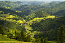 Landschaft im Schwarzwald - Landscape in the Black Forest  von Susanne Fritzsche
