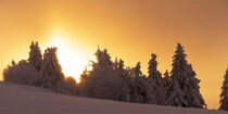 Magischer Abend in einer Winterlandschaft 1 von Holger Spieker