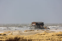 Sturmböen über der Nordsee von Annett Mirsberger